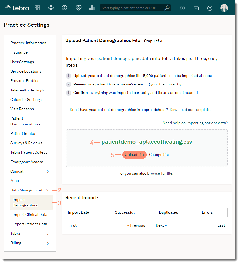 The web platform Upload Patient Demographics page showing a drag-and-drop box and an Upload file button.