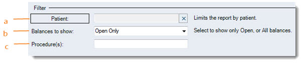 Patient Balance Detail Report Filters.jpg